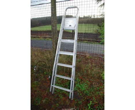 A 6 rung aluminium step ladder.