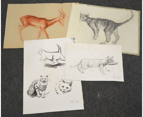 Mary Milner Dickens, a portfolio of animal studies, sketches, and artworks, executed largely in the late 1950s when the artis