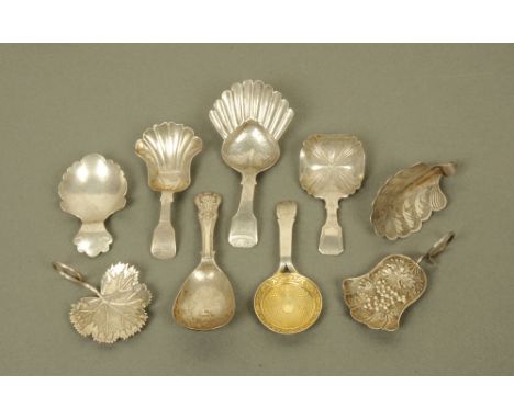 Eight George IV and William IV silver caddy spoons by Taylor & Perry, displaying different designs and shapes, including an u