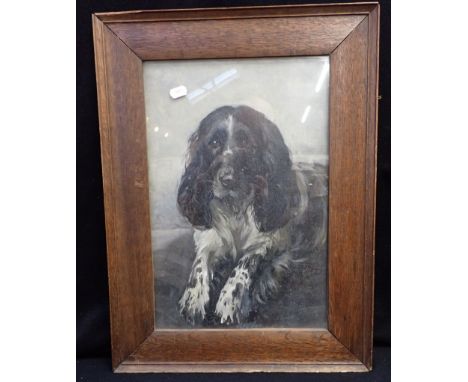 A PORTRAIT OF A SPANIEL oil on canvas in 1920s oak frame, indistinctly signed