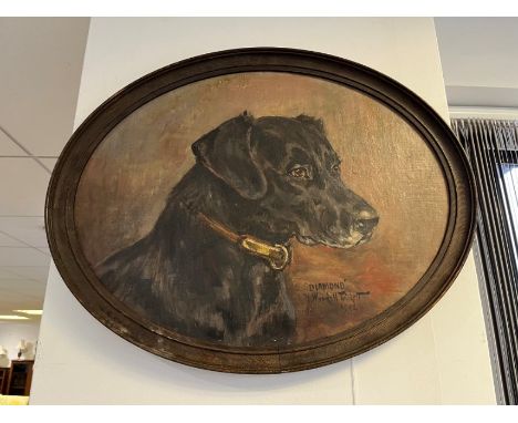 W. WASDELL TRICKETT, A PORTRAIT OF 'DIAMOND' oil on board, 33cm x 43cm