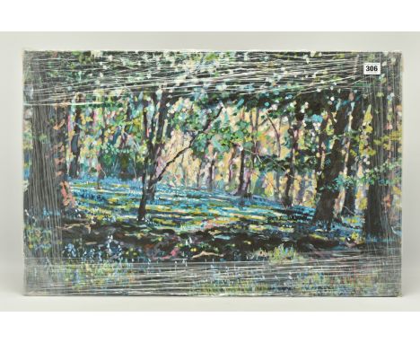 TIMMY MALLETT (BRITISH CONTEMPORARY) 'BLUEBELL SHADOWS', limited edition box canvas print of a woodland landscape 86/195 with