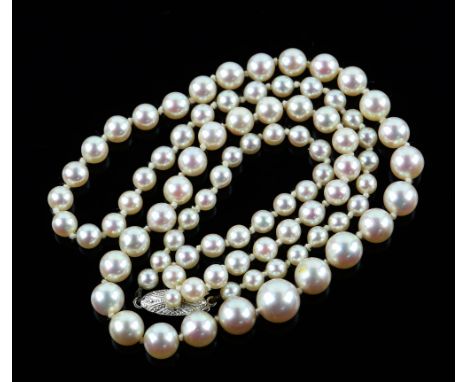A Mikimoto graduated pearl necklace to a white gold clasp, 49 cm .      CONDITIONOverall good conditiongross weight 17.2 gram