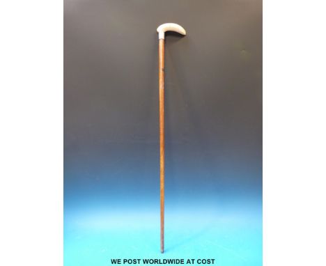 An ivory handled walking stick with silver collar