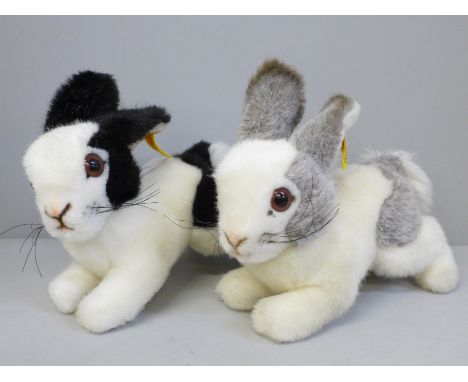 A Steiff baby grey and white rabbit and baby black and white rabbit, buttons to ears 