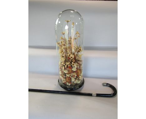 A dried flower arrangement set beneath a Victorian glass dome on a wooden base 50cm high, and a walking stick with silver mou