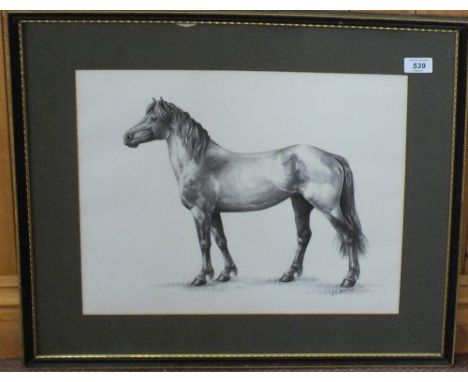 A pencil sketch of a horse standing by Gillian Hoare with inscription to reverse plus one other print of a lady tying shoelac