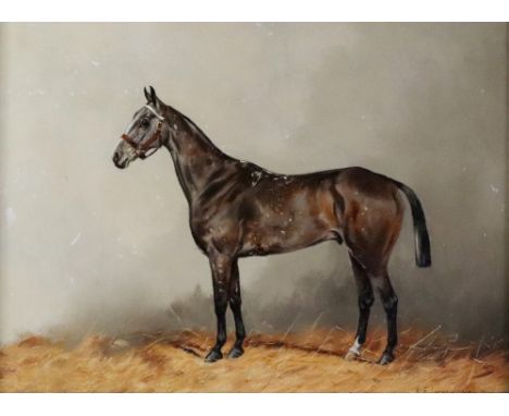 Henry Frederick Lucas Lucas (British, 1848-1943), A portrait of a brown horse with white flecks, signed and dated 'H F Lucas 