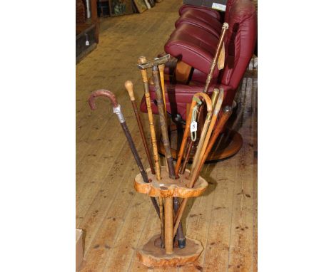 Arboreal stick stand and walking sticks.
