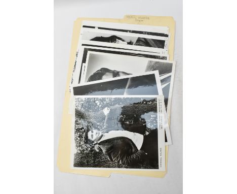 One box containing gelatin silver print or original vintage press photographic reproduction from the archives of the Star Tri
