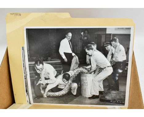 One box containing gelatin silver print or original vintage press photographic reproduction from the archives of the Star Tri