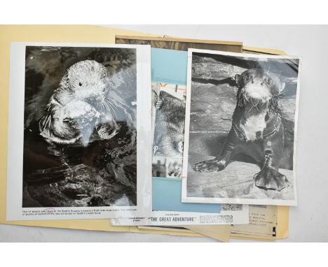 One box containing gelatin silver print or original vintage press photographic reproduction from the archives of the Star Tri