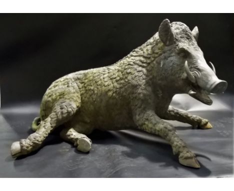 20th Century near life size model of a reclining wild boar, width 37in, height 24in.