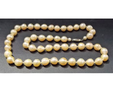 Pearl  necklace with 9ct gold clasp.