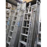 Large quantity various ladders