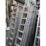 Large quantity various ladders