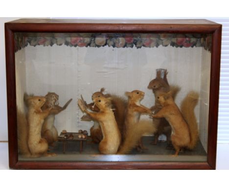 Early 20th century taxidermy diorama of seven red squirrels playing cards and dancing, in the manner of Walter Potter, in gla