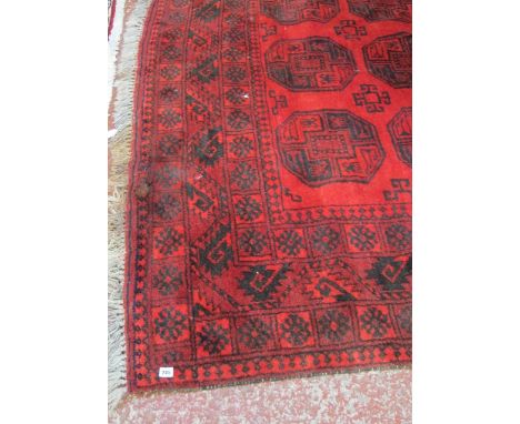  An Afghan Carpet,   three rows of elephant feet on a red ground.300cm x 226cm 