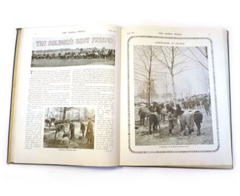 RSPCA 'Animal World' 1915 : Bound ( qto. hb. with Rountree Illus.) set of this scarce illustrated Magazine/Journal featuring 
