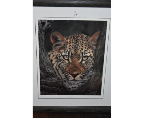 Frances Whitman, (contemporary), after, a Ltd Ed print, Mesmerized, signed and num 57/100, 45 x 36cm, mounted black stained f