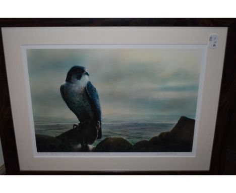 Jean Pritchard, (contemporary), after, a Ltd Ed print, Peregrine Watching, over the Duddon, signed and numbered 22/200, 23 x 