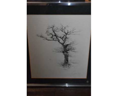 William Geldart, (contemporary), after, a Ltd Ed print, stark tree, signed and num 39/150, 38 x 30cm, mounted metal framed an