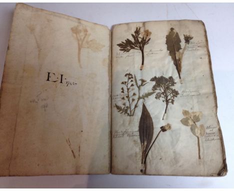 An unusual and rare mid-18th century botany album, containing 44 pages of 220 botanical specimens, numbered and annotated in 