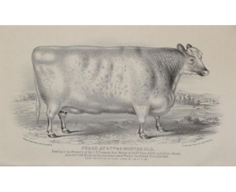 Strafford (H.) Coates's Herd Book: Containing the Pedigrees of Improved Short-Horned Cows, and their Produce from the Earlies