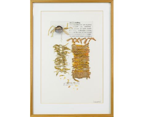 mixed media on paper, titled mounted, framed and under glass Provenance: The Late Jack McLean image size 82cm x 56cm, overall
