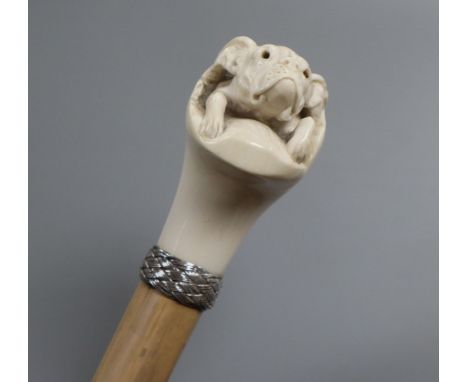 A carved ivory bulldog handled walking stick