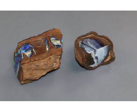 Two pieces of Australian opal in iron stone matrix