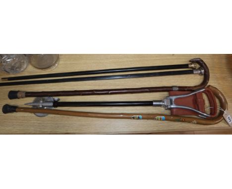 Four walking sticks and a shooting stick