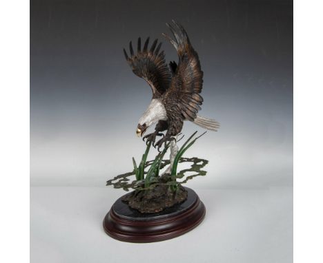 Alaska Chilkat Bald Eagle Preserve limited edition, depicts an eagle swooping down to catch a fish in the water. Includes woo