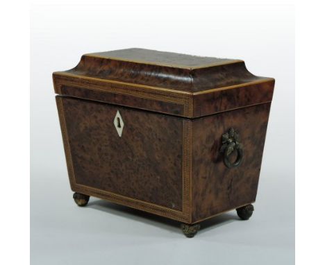 A Regency burr yew tea caddy, of sarcophagus shape, with rosewood and ebony inlay, having a fitted interior, on acanthus feet