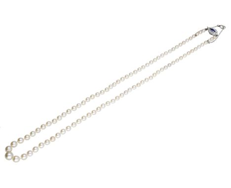 A natural pearl necklace, the graduated single row of natural pearls terminating in a sapphire and diamond cluster clasp, lar