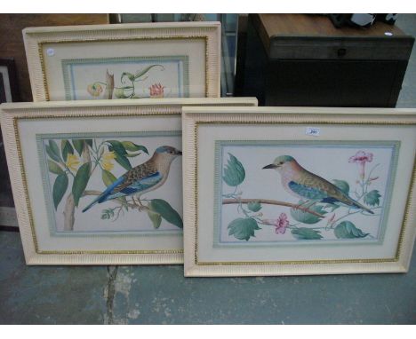 Study of an exotic bird amongst flowering branches , coloured print and 2 companions each within modern painted frames.(3)