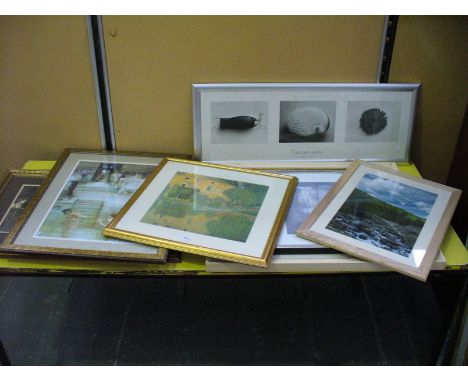 A Collection of modern pictures and prints inc a limited edition cricket print. (8)