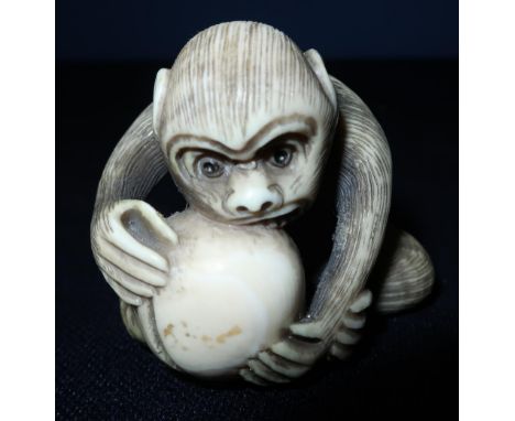 Edo period Japanese Netsuke of a gorilla grappling with coconut, signed to the base of the nut (height 3.5cm) 