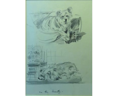 •EILEEN ALICE SOPER (1905 -1990), a Pencil Sketch of Cairn Terriers inscribed in pencil on the reverse "Eileen Soper, Pencil 