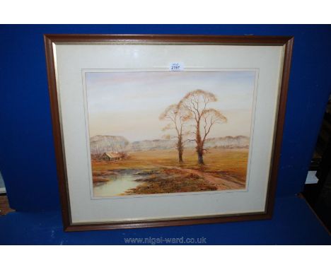 A Watercolour signed lower right, R. Foley '87 depicting a rustic Landscape