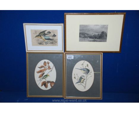 Two hand coloured Prints by John Morland - 'Goldcrest' and 'Blue Tits' and a hand coloured Print 'Wheatear' along with an Eng