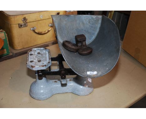 Set of vegetable  scales