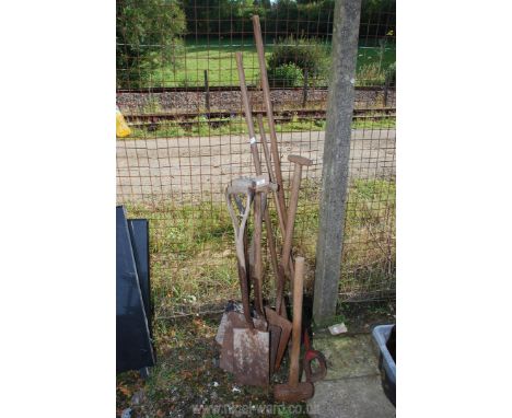 Quantity of spades, garden tools and a sledge hammer.