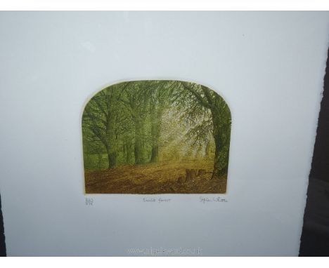 A Limited Edition etching entitled 'Sunlit Forest', no: 222/275, signed by Stephen Whittle.