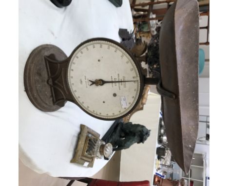 Large Salters scales