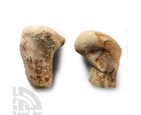 Cretaceous Period, circa 90 million years B.P.. Two front leg bone sections from the Dinosaur Deltadromeus agilis; one repair
