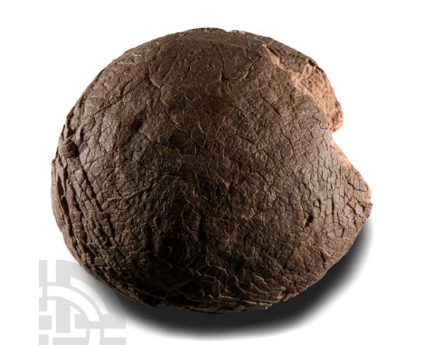 Late Cretaceous Period, circa 100-66 million years B.P.. A near complete Charonosaurus sp. hadrosaur egg, retaining the leath