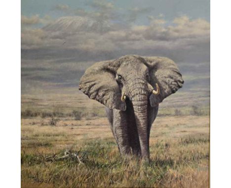 Tony Forrest - " Elephant  Ambrosseli " Original Large Oil on canvas. Circa 2000.  Gilt framed.A detailed and impressive pain