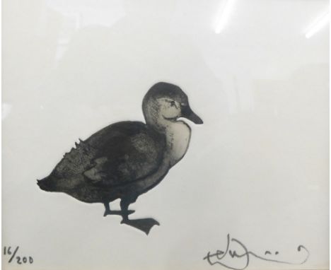 Julian Williams (b.1953). Duck, artist signed limited edition etching, 16/200, Green &amp; Stone of Chelsea label verso, 20cm