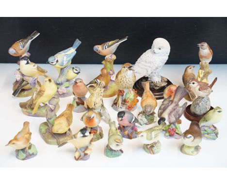 Collection of Royal Worcester bird figurines to include Coal tits, Chaffinch, Gold crest, Robin, Marsh tit, Blue tits, Yellow